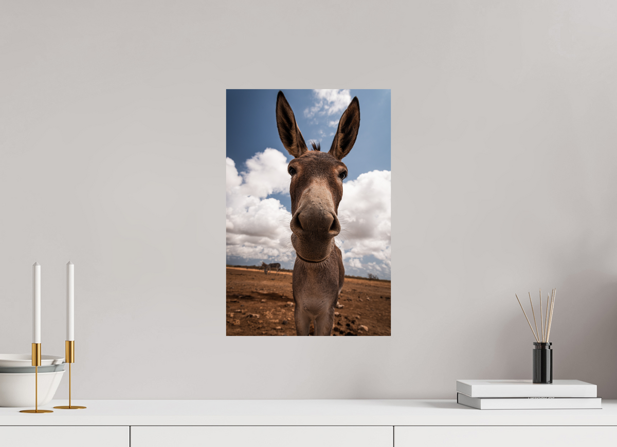 30 x 45 cm, Fotoprint op alu-Dibond Nieuwsgierige ezel uit Bonaire