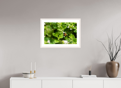 60 x 40 cm, Fotoprint met houten lijst - Esdoorn wit Bezige bij