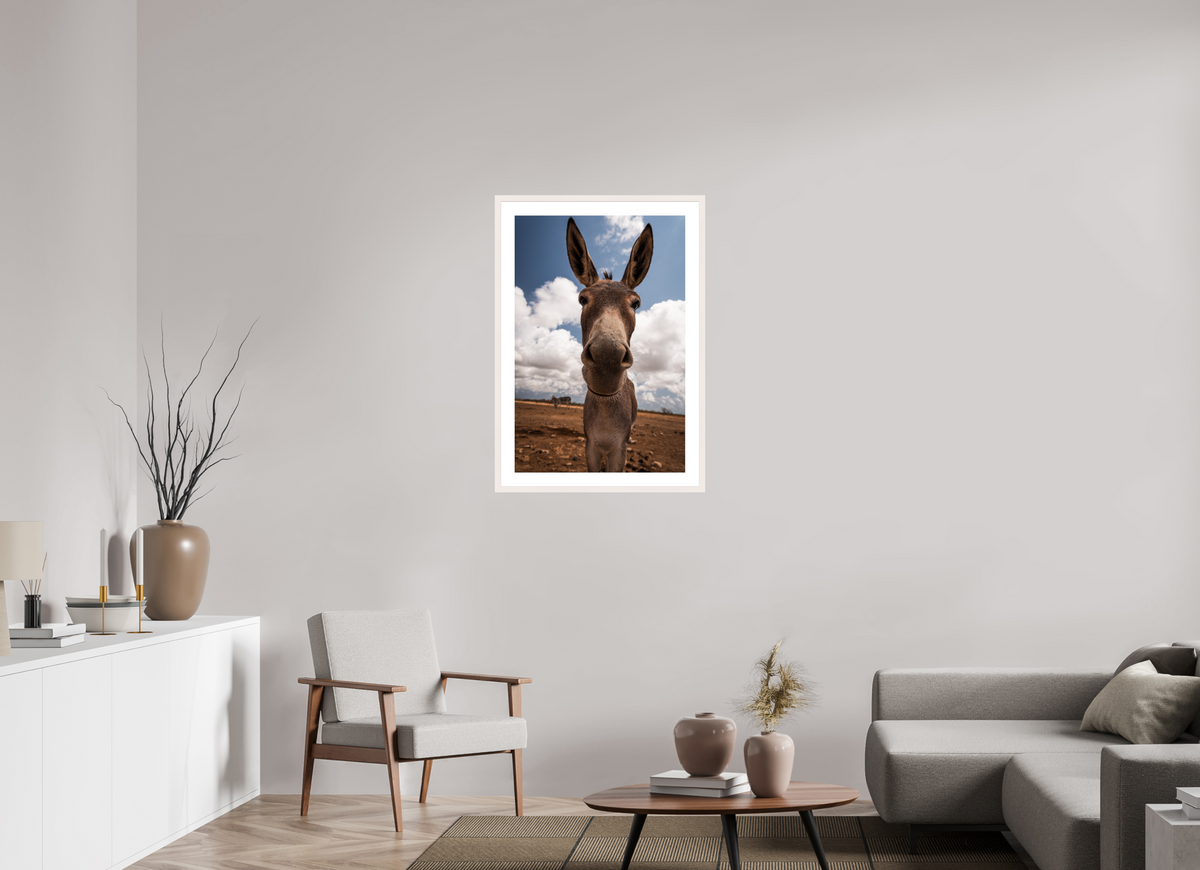 60 x 90 cm, Fotoprint met houten lijst - Esdoorn wit Nieuwsgierige ezel uit Bonaire