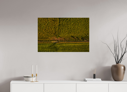90 x 60 cm, Fotoprint zonder lijst Runderen van boven
