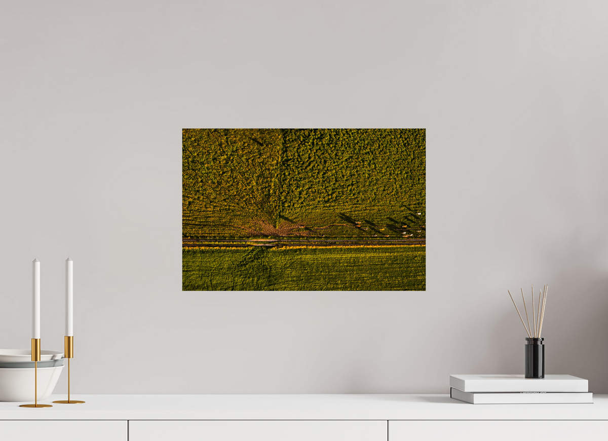 45 x 30 cm, Fotoprint op alu-Dibond Runderen van boven