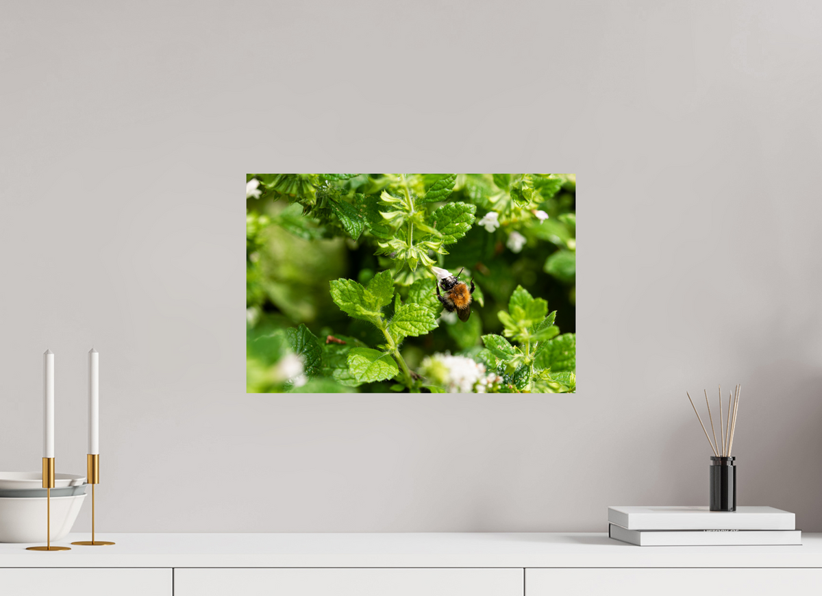 45 x 30 cm, Fotoprint op alu-Dibond Bezige bij