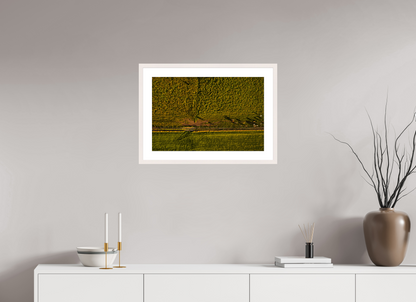 60 x 40 cm, Fotoprint met houten lijst - Esdoorn wit Runderen van boven