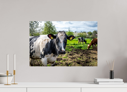 60 x 40 cm, Fotoprint op alu-Dibond Bleu Belge rund uit Limburg