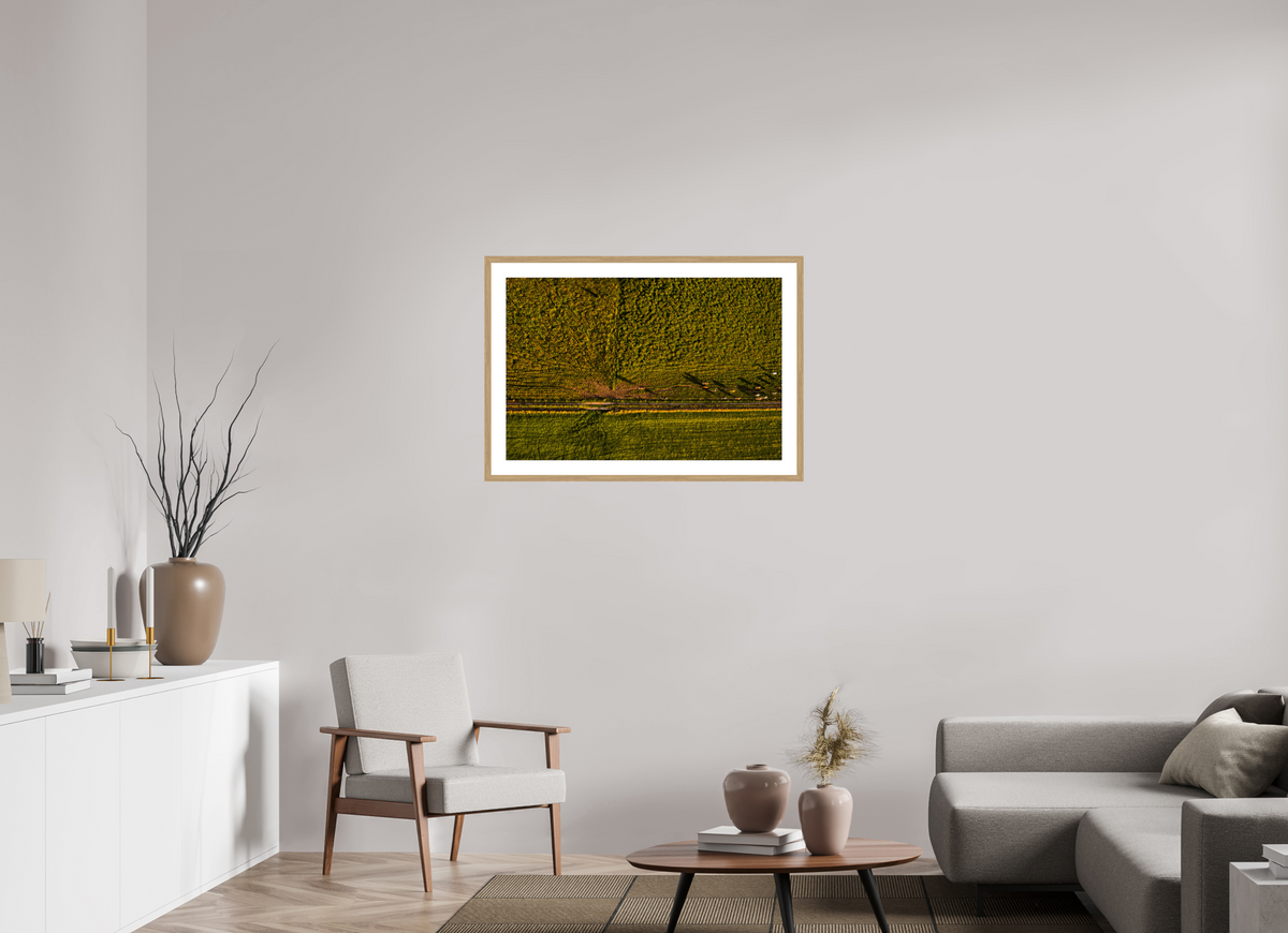 90 x 60 cm, Fotoprint met houten lijst - Eiken natuur Runderen van boven