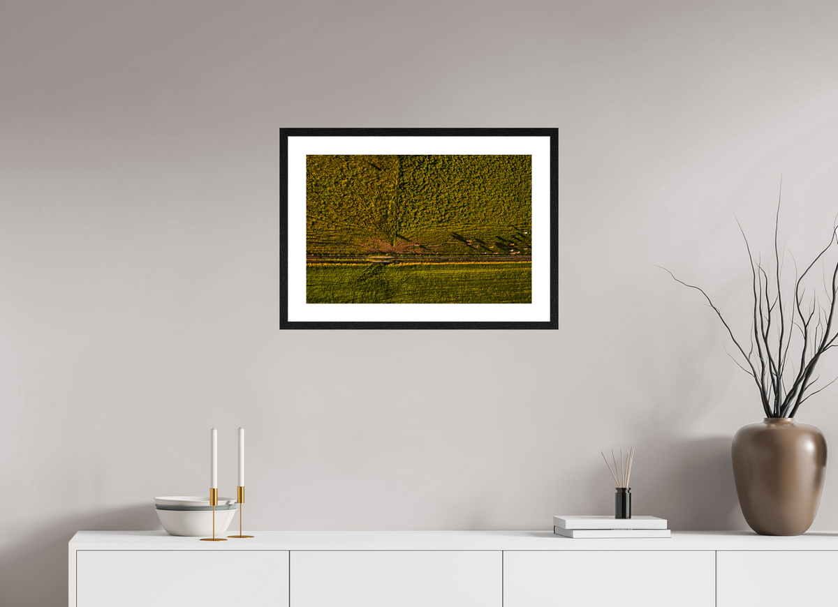 60 x 40 cm, Fotoprint met houten lijst - Eiken zwart Runderen van boven