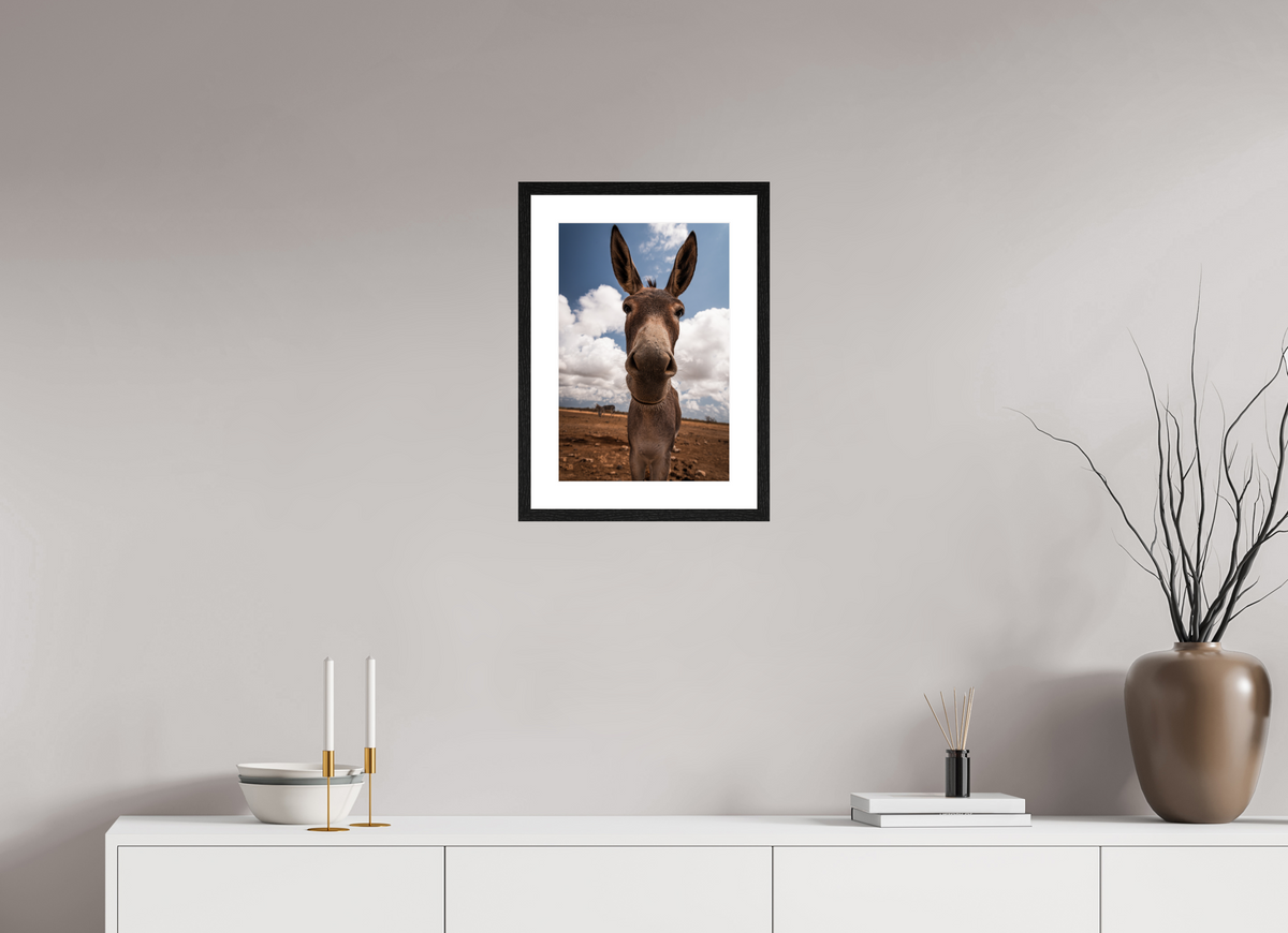 30 x 45 cm, Fotoprint met houten lijst - Eiken zwart Nieuwsgierige ezel uit Bonaire