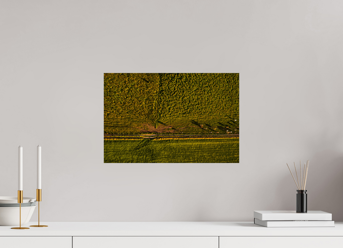 45 x 30 cm, Fotoprint zonder lijst Runderen van boven