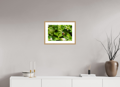 45 x 30 cm, Fotoprint met houten lijst - Eiken natuur Bezige bij