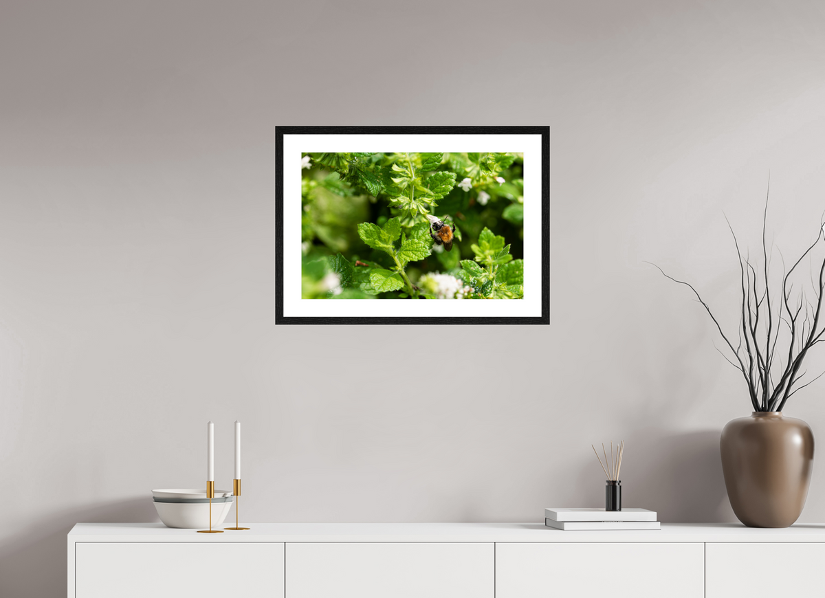 60 x 40 cm, Fotoprint met houten lijst - Eiken zwart Bezige bij