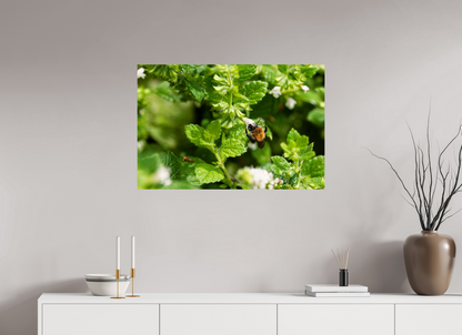 90 x 60 cm, Fotoprint zonder lijst Bezige bij