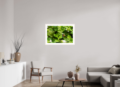90 x 60 cm, Fotoprint met houten lijst - Esdoorn wit Bezige bij