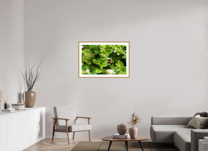 90 x 60 cm, Fotoprint met houten lijst - Eiken natuur Bezige bij