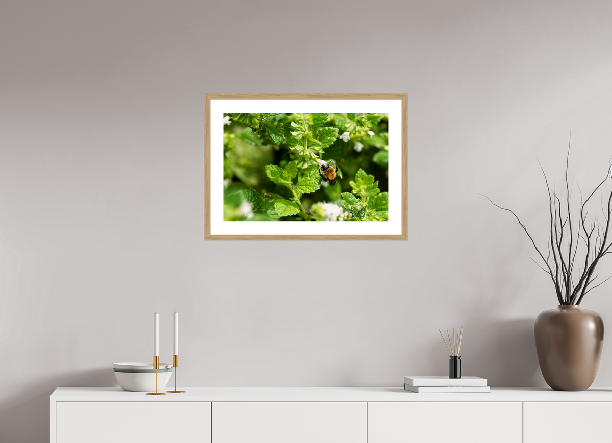 60 x 40 cm, Fotoprint met houten lijst - Eiken natuur Bezige bij