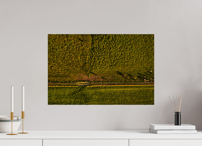 60 x 40 cm, Fotoprint zonder lijst Runderen van boven