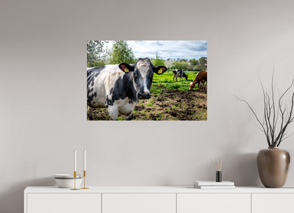 90 x 60 cm, Fotoprint op alu-Dibond Bleu Belge rund uit Limburg