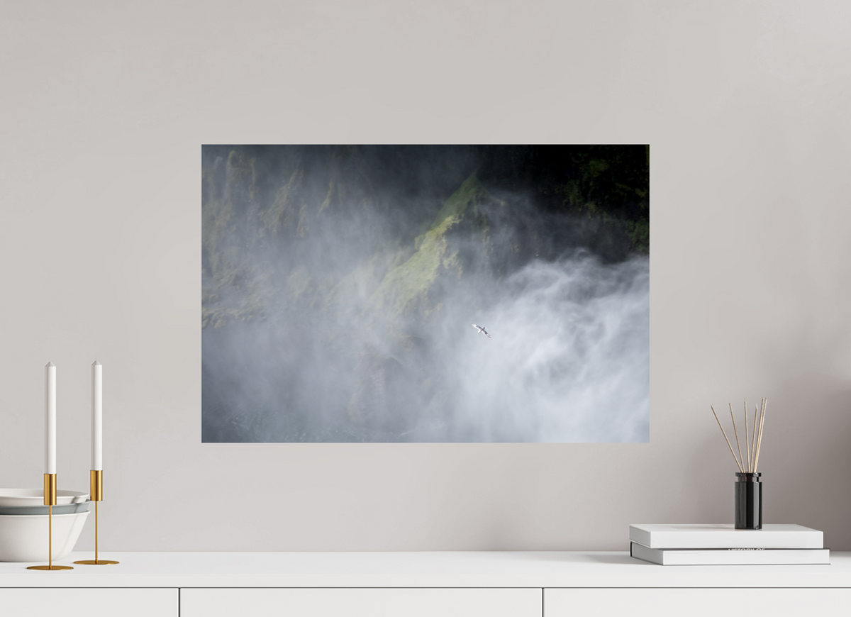 60 x 40 cm, Fotoprint zonder lijst Meeuw bij de Skodafoss - IJsland