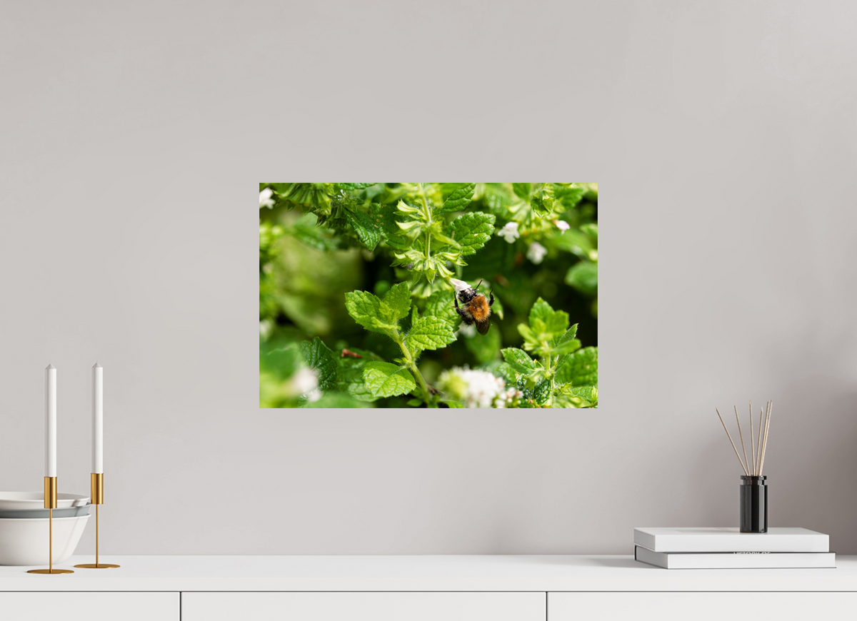 45 x 30 cm, Fotoprint zonder lijst Bezige bij