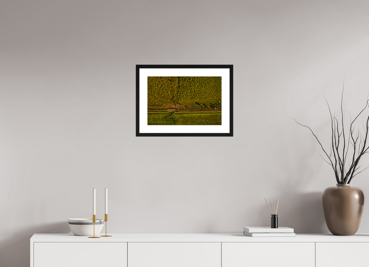 45 x 30 cm, Fotoprint met houten lijst - Eiken zwart Runderen van boven