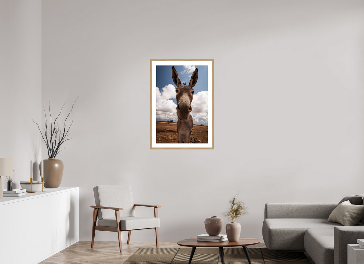 60 x 90 cm, Fotoprint met houten lijst - Eiken natuur Nieuwsgierige ezel uit Bonaire