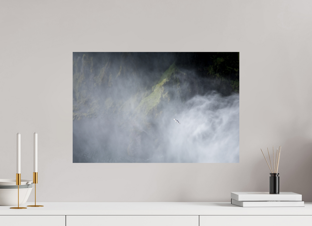 60 x 40 cm, Fotoprint op alu-Dibond Meeuw bij de Skodafoss - IJsland