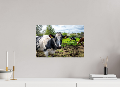 45 x 30 cm, Fotoprint op alu-Dibond Bleu Belge rund uit Limburg