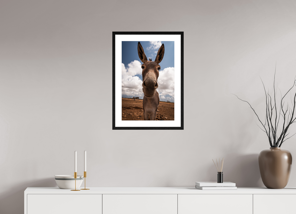 40 x 60 cm, Fotoprint met houten lijst - Eiken zwart Nieuwsgierige ezel uit Bonaire